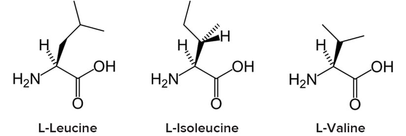 Razgranate aminokiseline – BCAA (Branched-Chain Amino Acids)