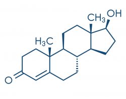 testosteron formula