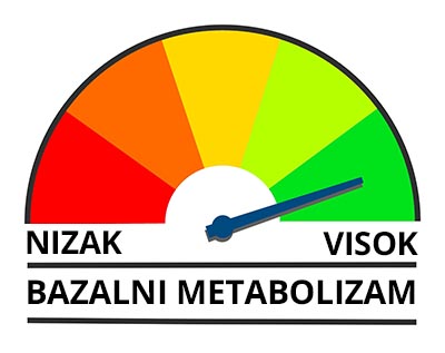 bazalni metabolizam