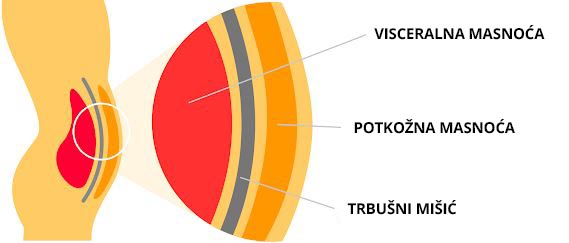 zašto masnoća na trbuhu može biti opasna