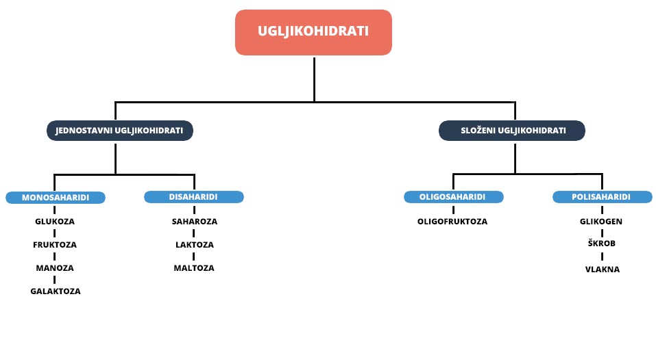 vrste ugljikohidrata