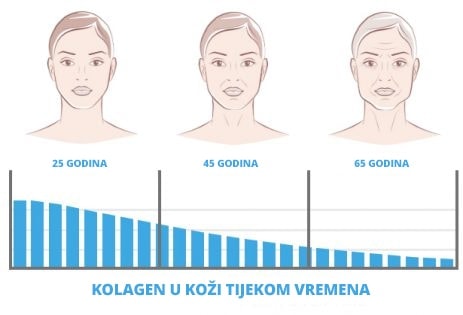 Kolagen-kako pada po godinama